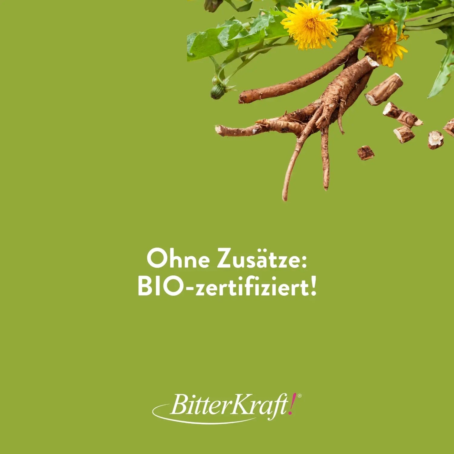 Basenkraft! Original (BIO) Bitterkraft GmbH - Bitterkraft