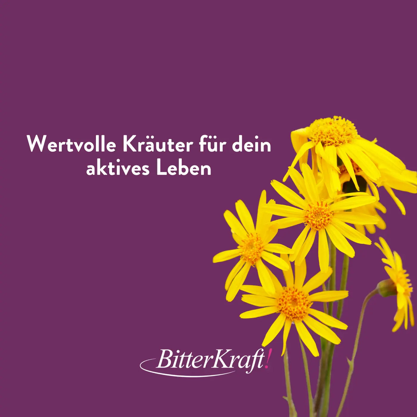 Knie- und Gelenksalbe Hildegard von Bingen