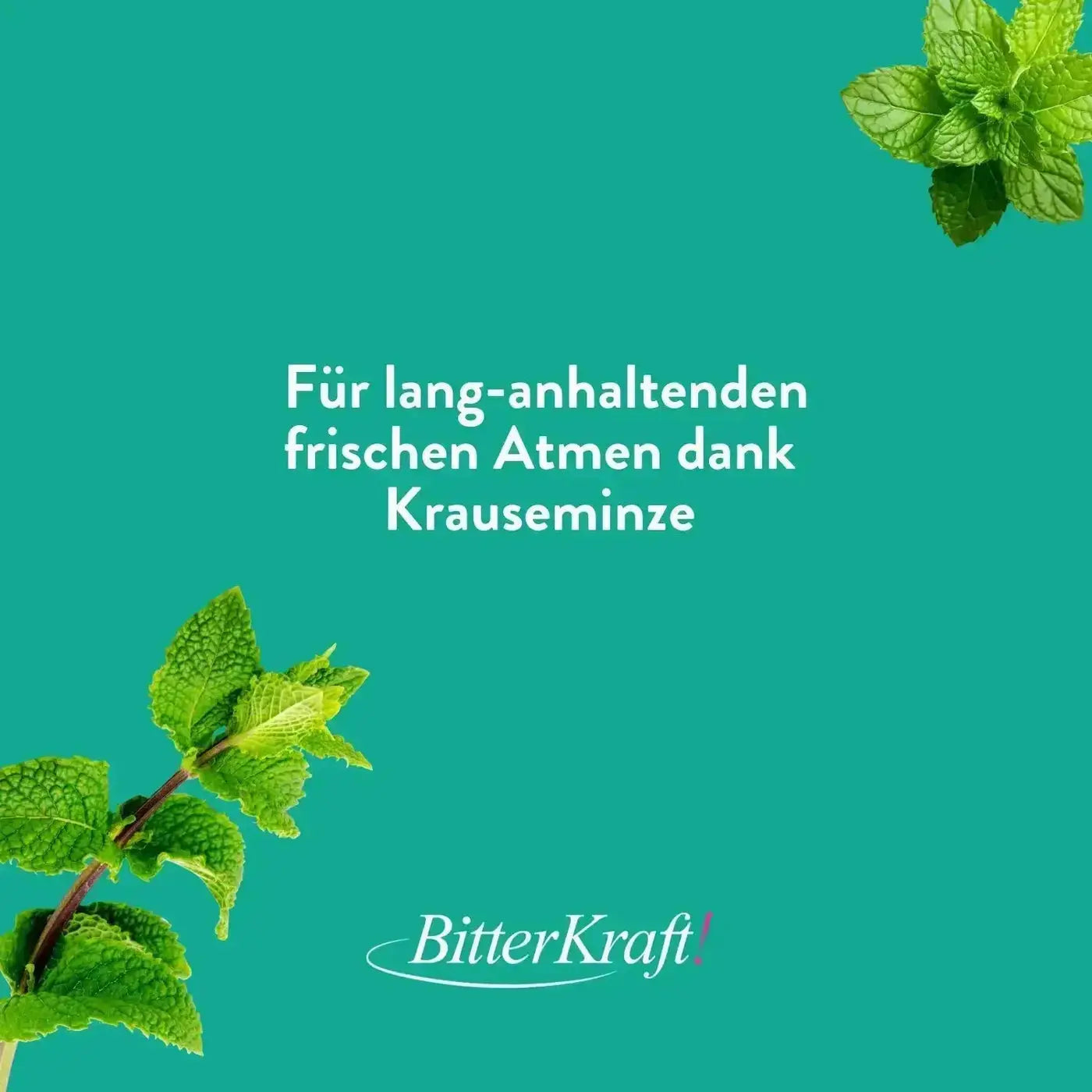 Dentifrice Rebaschen