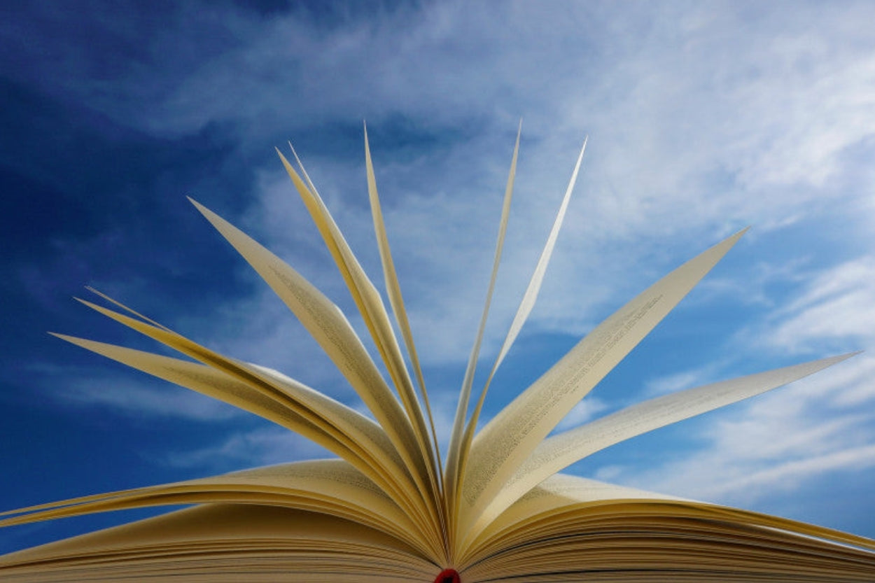 Recettes de Hildegard von Bingen : effets, utilisation et dosage