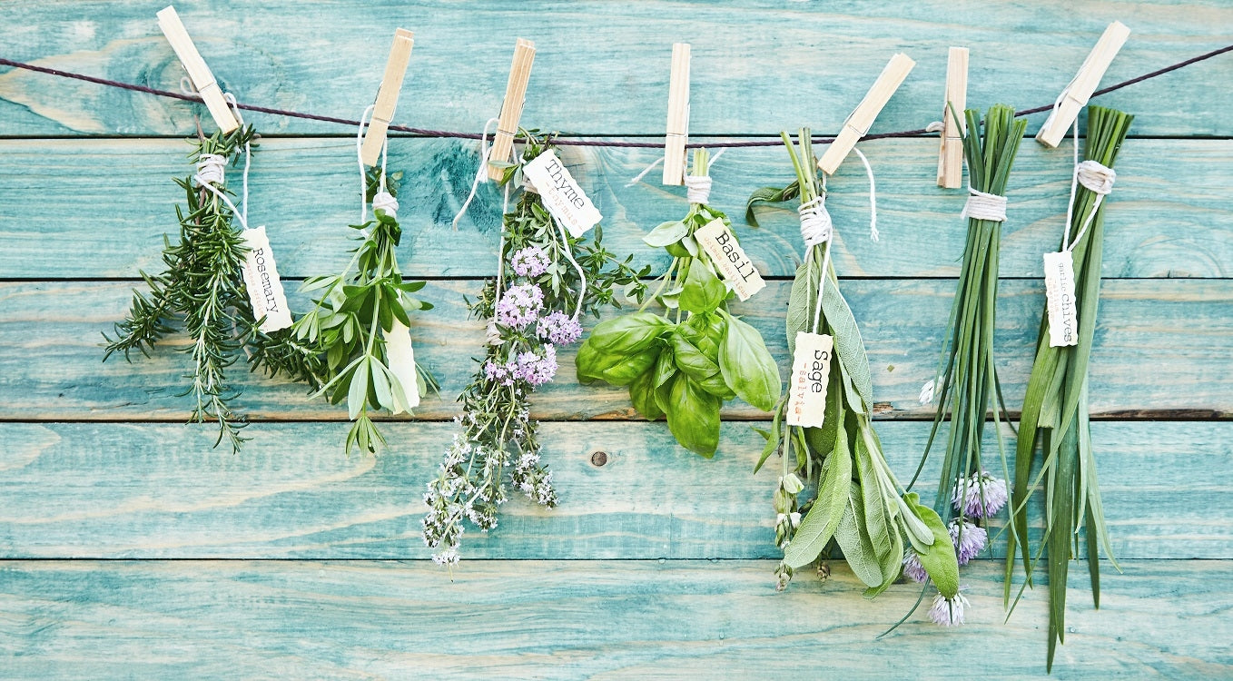 Les herbes les plus importantes en anglais