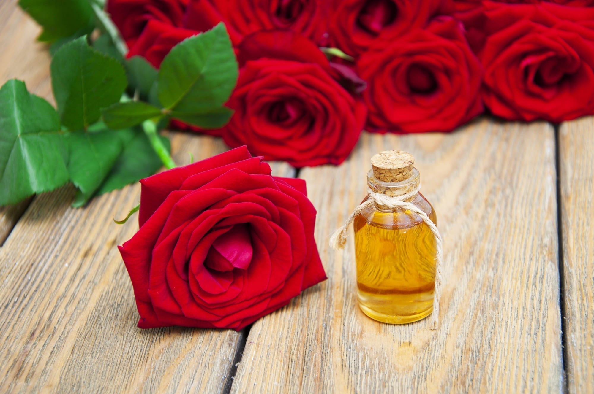 Huile de rose : effets, utilisation et dosage