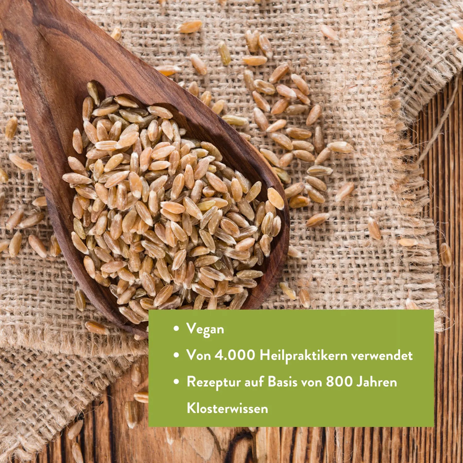 Fasten-Suppe mit Ur-Dinkel (BIO) Bitterkraft GmbH - Bitterkraft