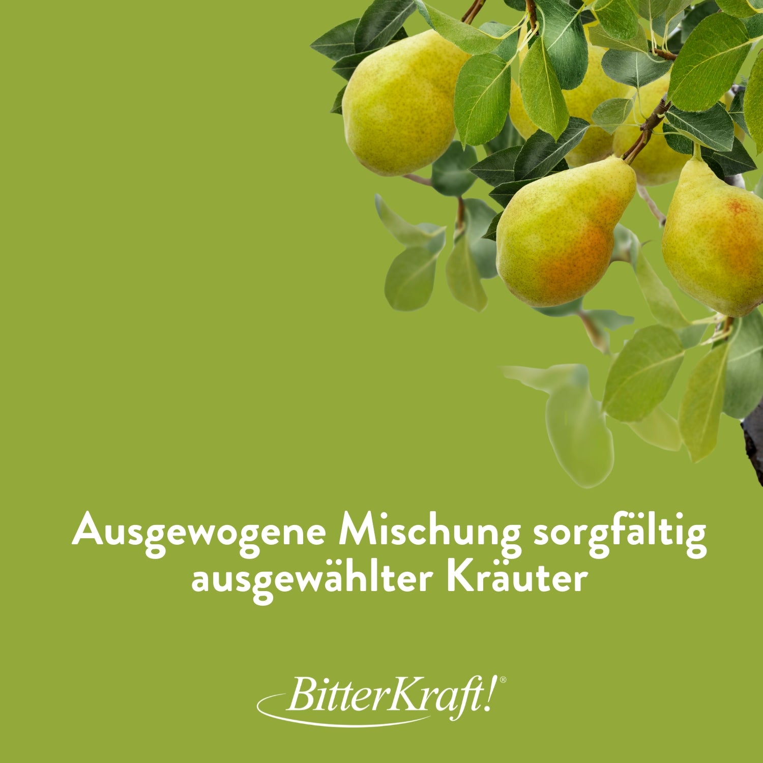 Bärwurz Birnenhonig Mischpulver MHD bis 31.05.2026
