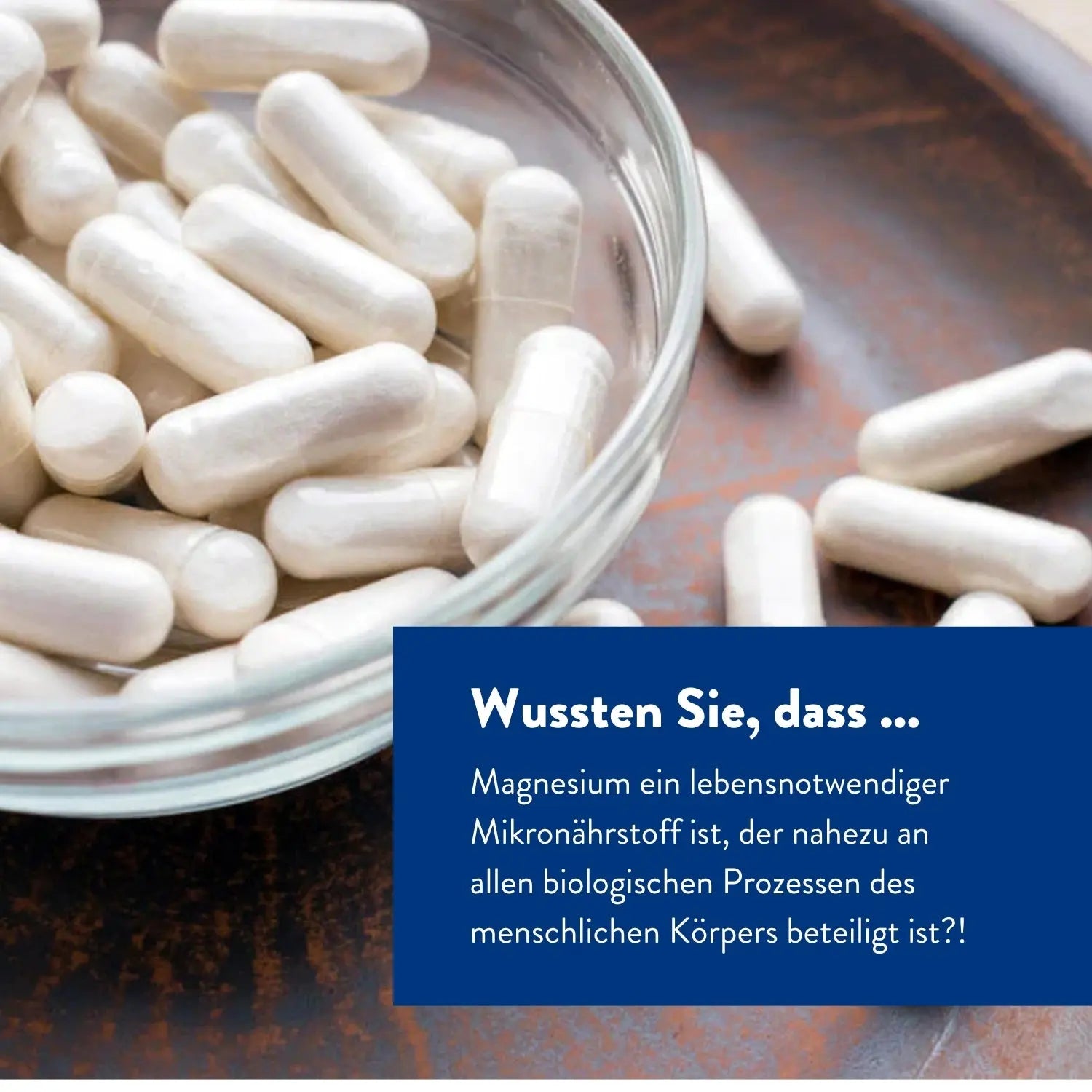 Bitterkraft Magnesium Komplex (60 Kapseln)