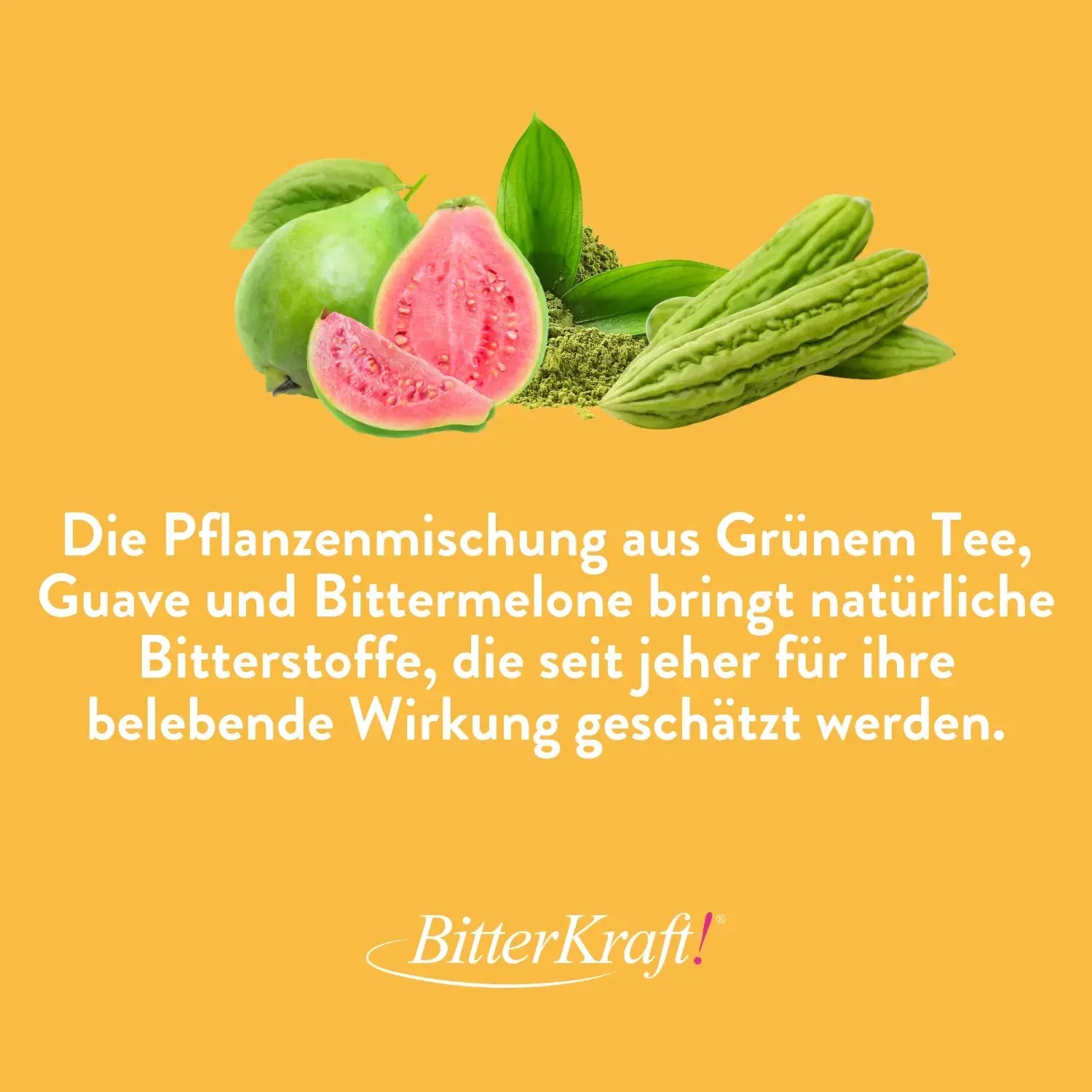 BitterKraft! Stoffwechsel Komplex Bitterkraft GmbH - Bitterkraft