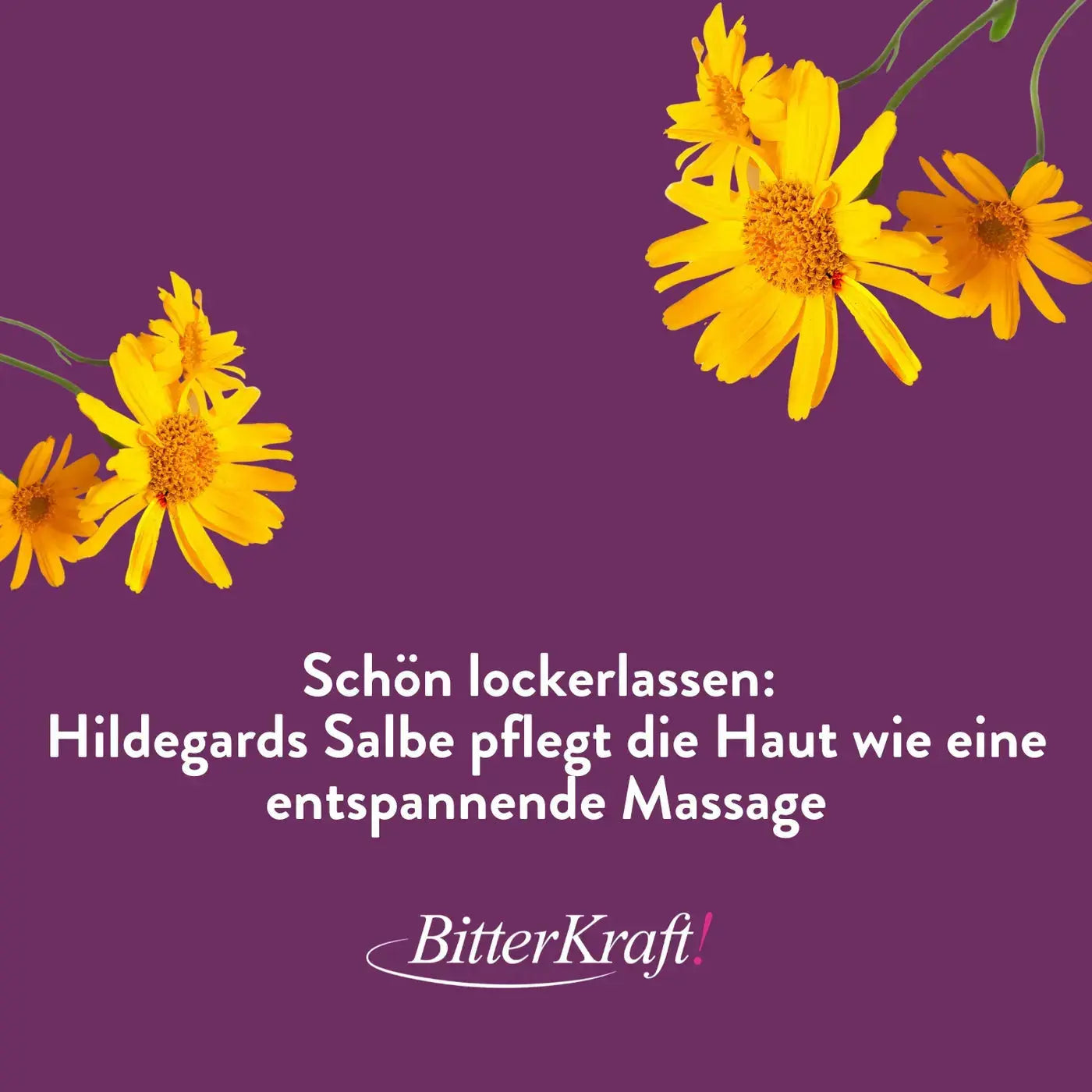 Schulter- und Rückensalbe Hildegard von Bingen Bitterkraft GmbH - Bitterkraft