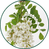 Fibre d'acacia