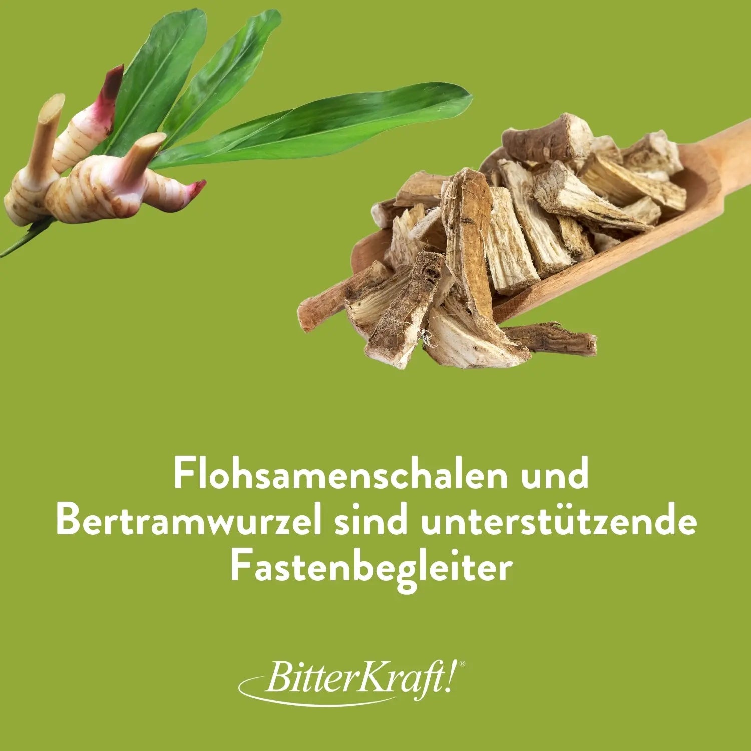 Flohsamenschalen mit 1% Bertramwurzel Bitterkraft GmbH - Bitterkraft