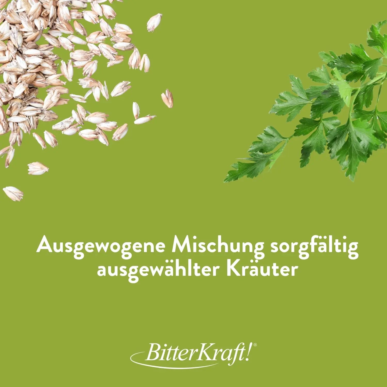 Fasten-Suppe mit Ur-Dinkel (BIO) Bitterkraft GmbH - Bitterkraft