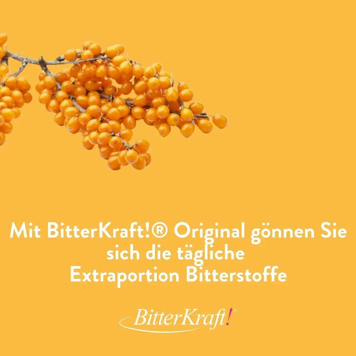 Sanddorn-Saft - 350ml  - BitterKraft! Saft gelb (BIO) (alte Version) Bitterkraft GmbH - Bitterkraft