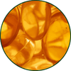 Biotine et vitamine B5