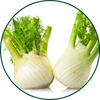 Fenouil